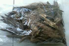Prized Agarwood Chips